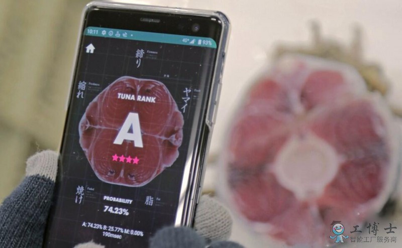  金枪鱼的品质用AI鉴定