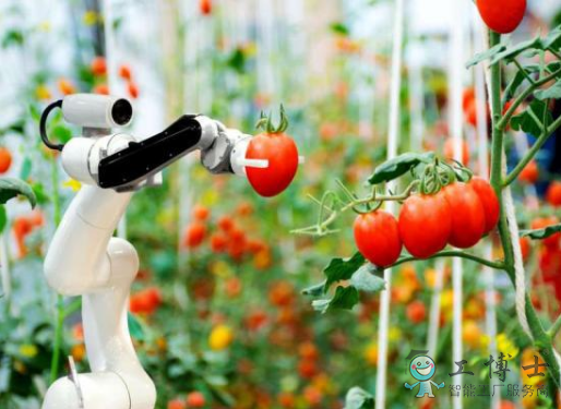 农业或将成为未来机器人产业落地的领域