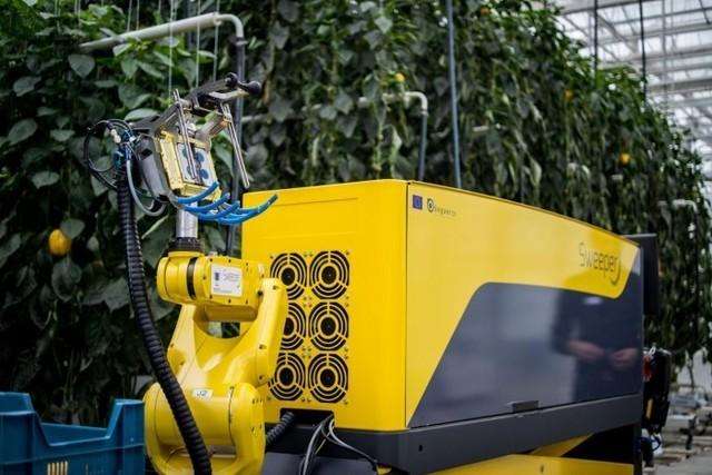 农林业采收机器人的研究还存在哪一些问题亟待解决。