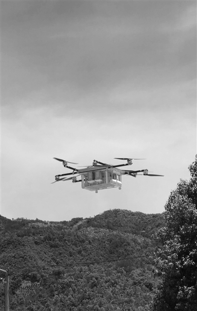 无人机单次可运送10公斤杨梅
