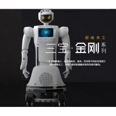 三宝机器人金刚系列 服务器机器人 三宝智能机器人图2
