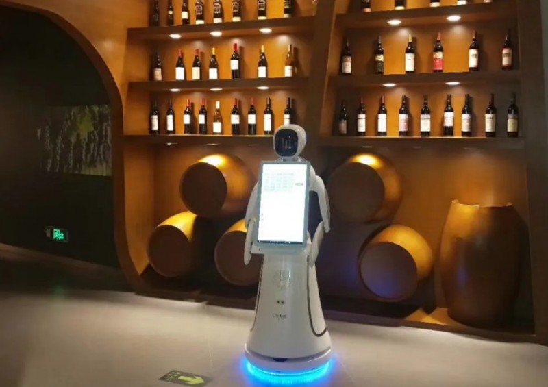 迎宾机器人