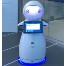 小雪迎宾接待机器人图2
