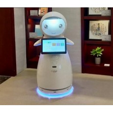 小雪迎宾机器人 穿山甲机器人图2