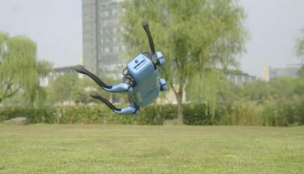 杭州一科技公司发布会侧空翻的机器狗