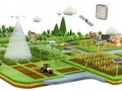 【智慧农业】农业未来发展趋势显现 示范型智慧农场在国内快速兴起