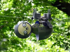 一起来看树懒机器人如何帮助拯救濒危的生态系统